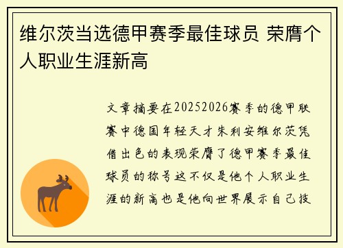 维尔茨当选德甲赛季最佳球员 荣膺个人职业生涯新高